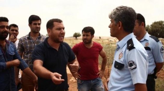 Köylülerin çimento fabrikasıyla zeytinlik gerginliği