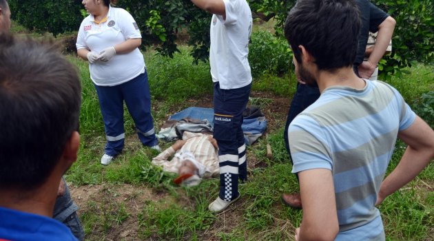 Yaşlı adam, çalıştığı portakal bahçesinde can verdi