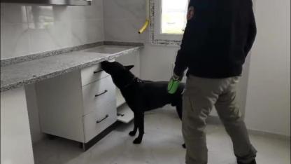 72 Bin Extacy Hap Ele Geçirildi:2 Gözaltı