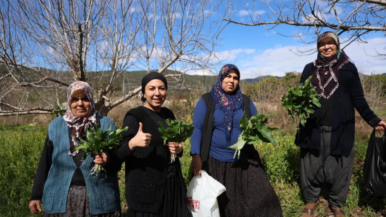 Doğada Zehirli Sofra Şifa