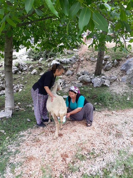 Orman köylüsünün gücüne Güç Katılıyor