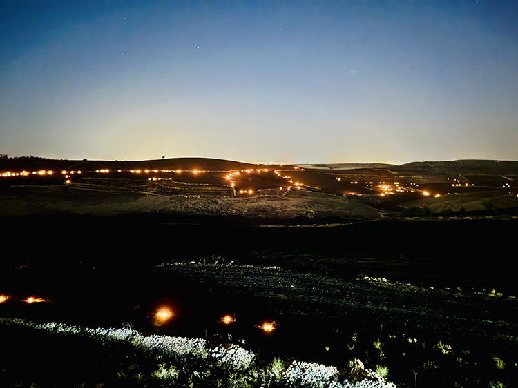 Diyarbakır Ve Mardin Arasında Anız Yangını:5 Ölü