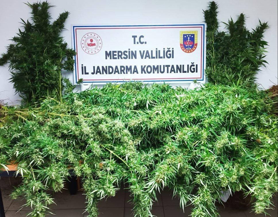Mersin'de Uyuşturucu Operasyonu