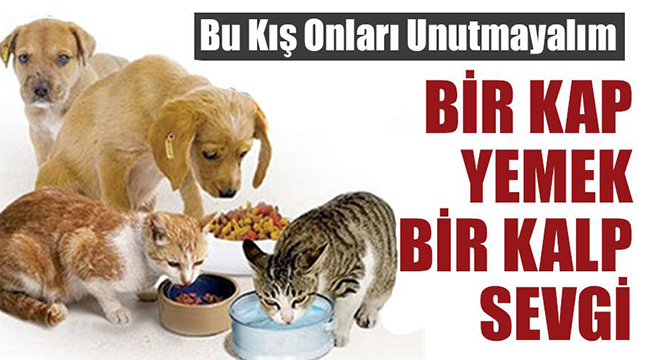 Her şey sevgiyle başlar...