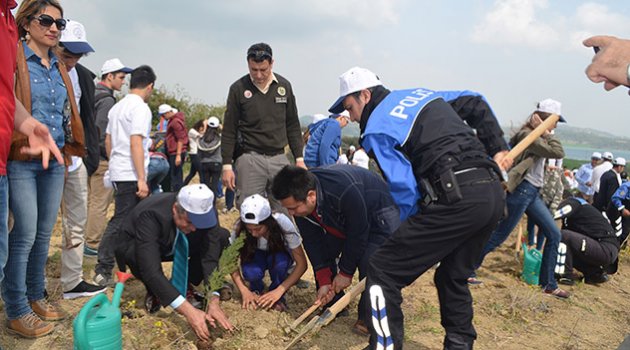 100 öğrenci 500 fidan dikti