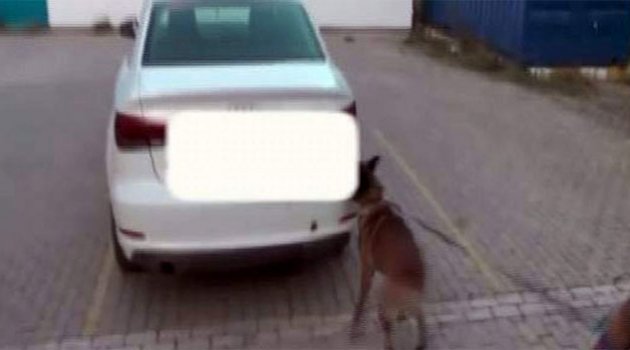 12 kilo esrarı narkotik köpeği buldu