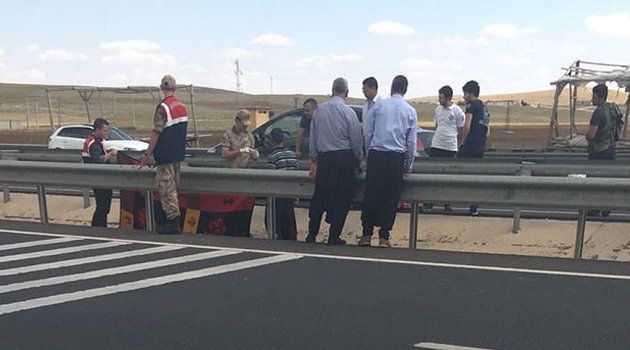 17 yaşındaki genç yol kenarında ölü bulundu