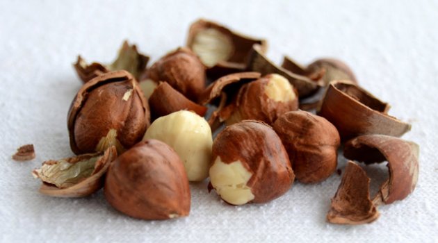 2016 yılı tahmini fındık rekoltesini açıkladı