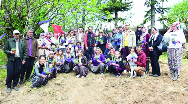 Fekeli kadınlar lavanta yetiştirecek