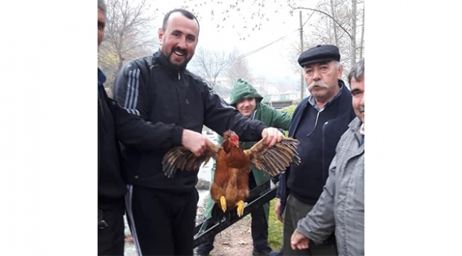 Horozu kurtarmak için seferber oldular