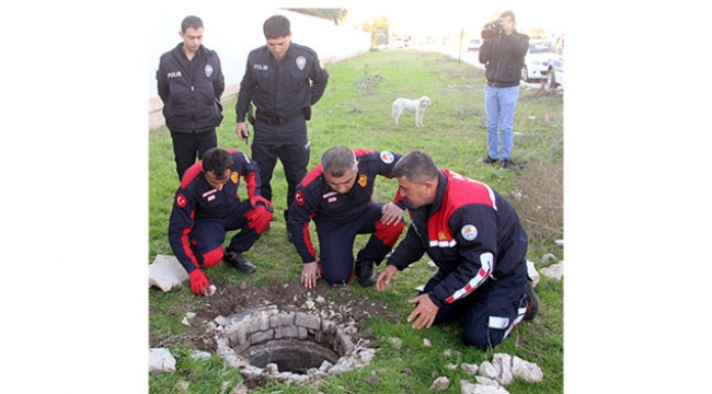 İnek köpek sayesinde kurtarıldı
