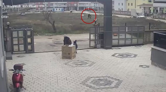 Kuşlarına bakan çocukları darp etti
