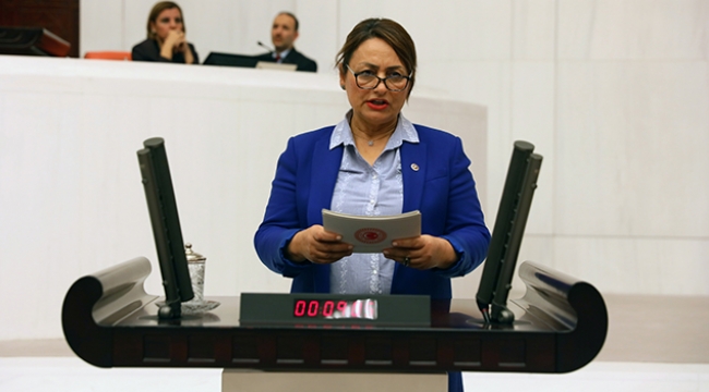 Şevkin: Öğretmenler umutsuz!