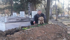 Cesur, her gün sahibinin mezarında yas tutuyor