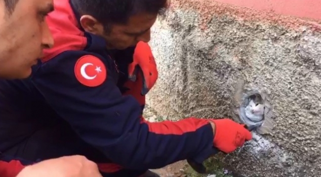 Kedi böyle kurtarıldı