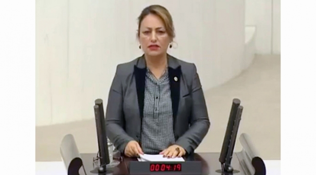 Şevkin: Arazi rantı, siyasal ve  ekonomik ranta dönüşüyor