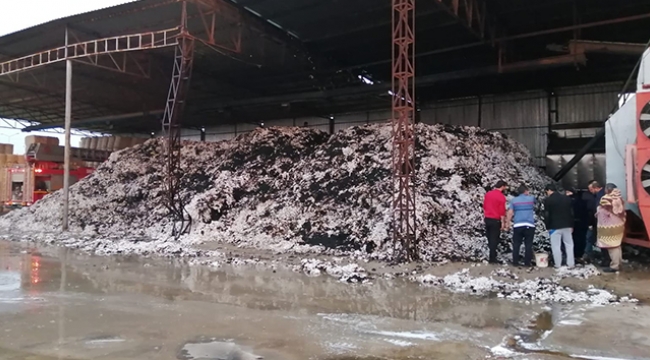 Tonlarca pamuk kül oldu