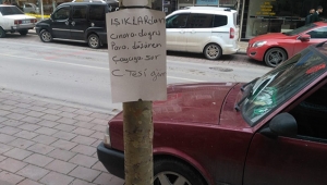 Yolda bulduğu paranın sahibini bulmak için ağaca ilan astı