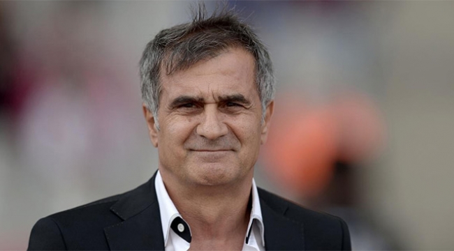 A milli takımın yeni teknik direktörü Şenol Güneş oldu