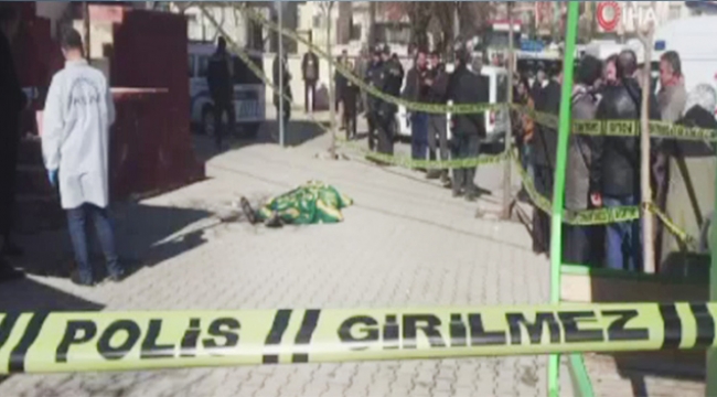 Cinnet getiren damat aileyi yok etti