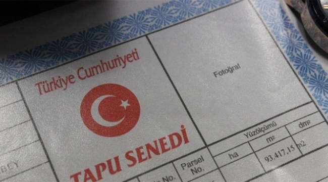 Gelin kayınvalidesini öldürdü