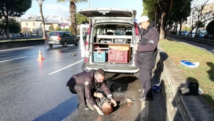 Sürücü yayaya çarpınca üzüntüden bayıldı
