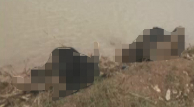 Üç kadın cesedi bulundu