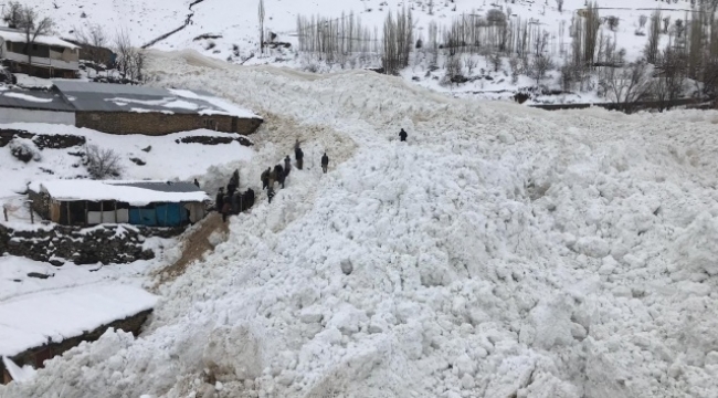 Ahırların üzerine çığ düşmesi sonucu 46 hayvan telef oldu