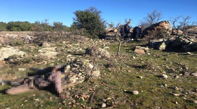 Boş arazide ölü bulundu