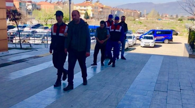 Dolandırıcıların yeni adresi zeytinyağı sektörü