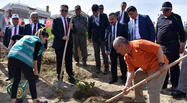 Hükümlülerden Adalet Ormanı’na 3 bin fidan
