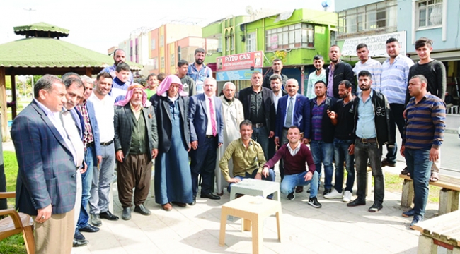 Karaca, sokak sokak geziyor