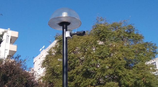 Parklar gözaltında
