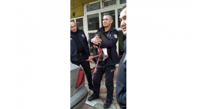Adana'da yaralı leyleğe yardım eli