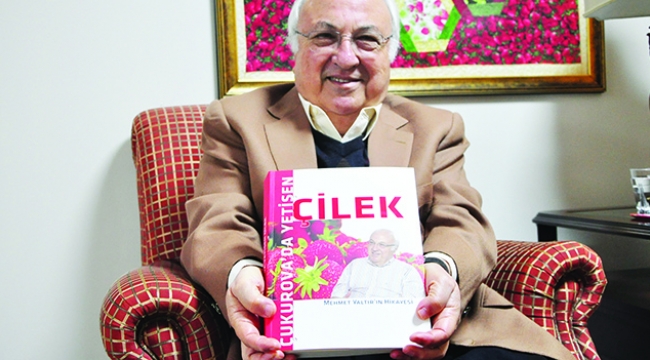 Çukurova’da yetişen çilek; Mehmet Yaltır’ın hikayesi