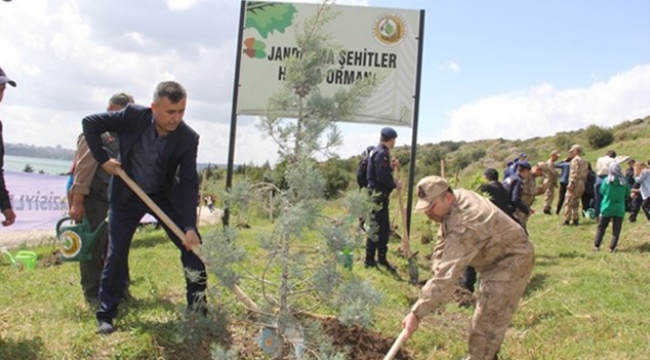 Şehitler için 300 fidan