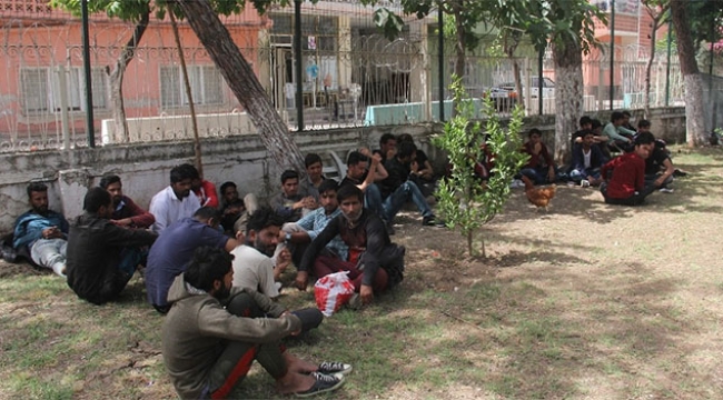 57 kaçak göçmen Adana'da yakalandı