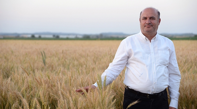 ‘Buğday ekim alanı arttırılmalı’