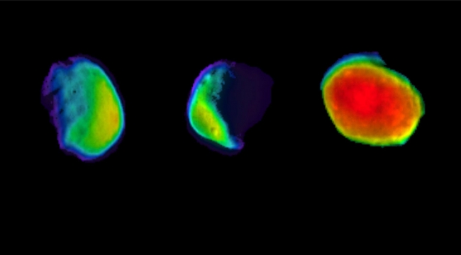 Mars'ın dolunay hali ilk kez görüntülendi