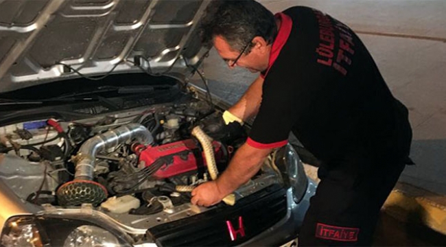 Otomobilin içinden yılan çıktı