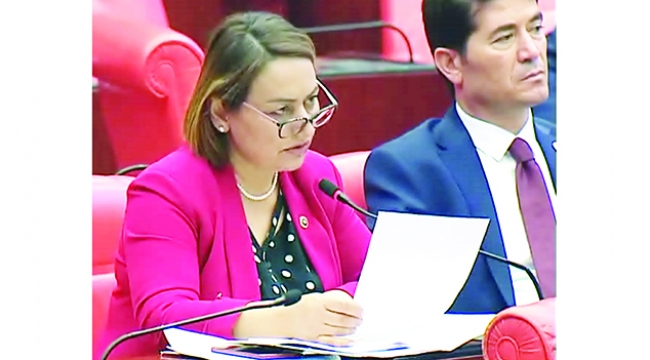 Şevkin: İflas ve icralık halkın hali ne olacak?