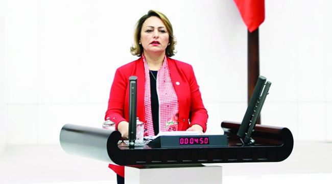 Şevkin: Sorumlular adalet önünde hesap vermeli