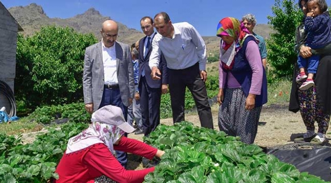 Demirtaş: Adana’nın tarım potansiyeli iyi değerlendirilmeli