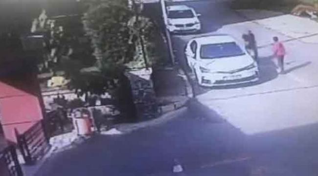'Erik çekirdeği' davasında karar