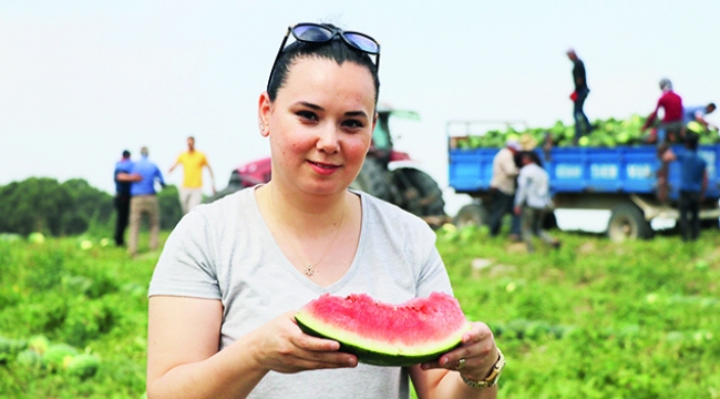 Karpuzun fiyatı, çiftçinin yüzü düştü