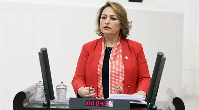 Şevkin: Çocuk cinayetlerini araştırmak Meclis'in görevi