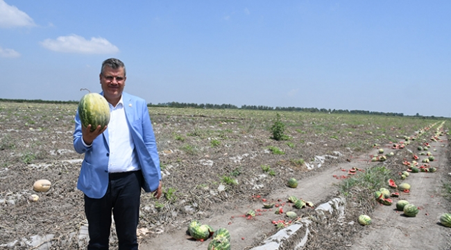Barut: Karpuz tarlada 10 kuruş, markette 1 lira