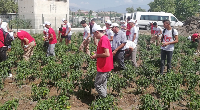 Büyükşehir’den gençlere doğal yaşam terapisi