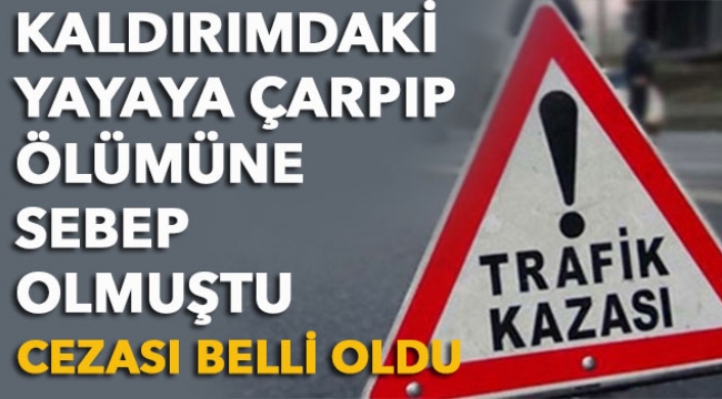 Kaldırımdaki yayaya çarpıp ölümüne sebep olmuştu cezası belli oldu
