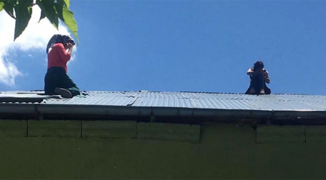 Kız çocuğu çatıya çıkıp intihara kalkıştı
